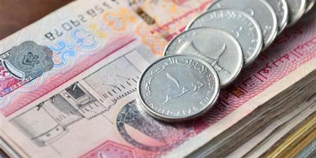 سعر الدرهم الإماراتي مقابل الجنيه في البنك المركزي اليوم الأحد