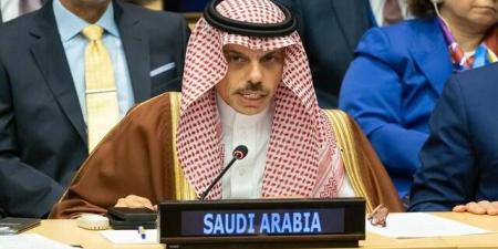 السعودية
وإيطاليا
تبحثان
التطورات
الإقليمية
وأمن
وحرية
الملاحة