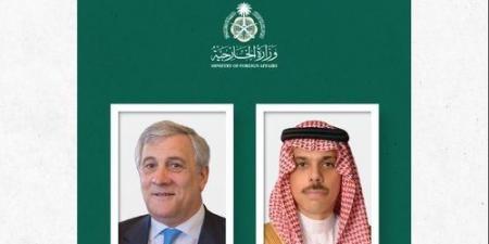 وزير الخارجية يجري اتصالًا هاتفيًا بوزير خارجية إيطاليا