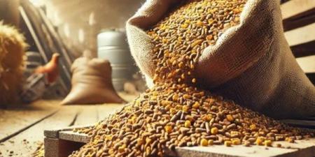 انخفاض
      الردة،
      أسعار
      الأعلاف
      والحبوب
      اليوم
      في
      الأسواق