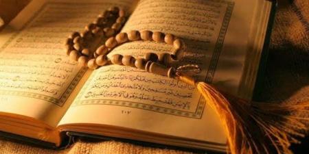 أعلام
الفقهاء
من
الصحابة،
من
هم
فقهاء
الطبقة
الأولى
و“أئمة
المذاهب”؟