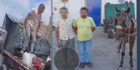 باستخدام
عربة
كارو،
سقوط
عاطلين
سرقا
صندوق
قمامة
بالإسكندرية