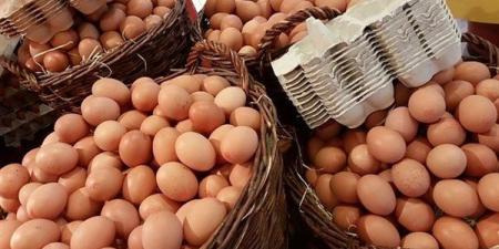 سعر
كرتونة
البيض
اليوم
الأحد
في
بورصة
الدواجن