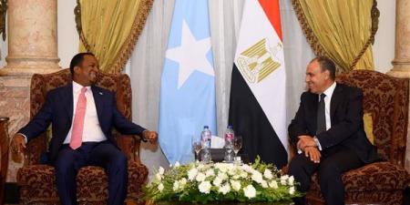 وزير
الخارجية
يطالب
نظيره
الصومالي
بمواصلة
الجهود
للإفراج
عن
البحارة
المصريين
المختطفين
(صور)