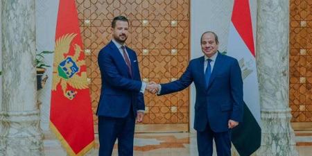 انطلاق
مباحثات
السيسي
ورئيس
الجبل
الأسود
لتعزيز
العلاقات
بين
البلدين