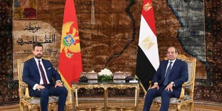 السيسي
يبحث
مع
رئيس
الجبل
الأسود
تعزيز
التعاون
الاقتصادي
وأزمات
الشرق
الأوسط
(فيديو)