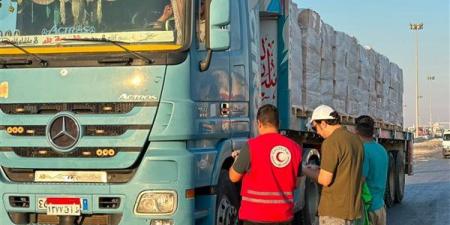 «زاد
العزة
238»
تنطلق
إلى
غزة،
مصر
تواصل
إرسال
المساعدات
الإنسانية
للأشقاء
الفلسطينيين