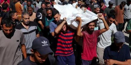 استشهاد
12
فلسطينيا
بنيران
قوات
الاحتلال
منذ
فجر
اليوم
في
قطاع
غزة