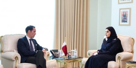 وزير الدولة للتعاون الدولي تجتمع مع الممثل الخاص للأمين العام لحلف "الناتو"