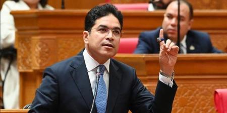 ضياء الدين داود: نتابع عن قرب ملف البحارة المصريين على متن السفينة AIDA