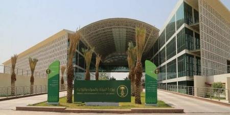 "بيئة
      القصيم"
      تطرح
      فرصة
      استثمارية
      لإنشاء
      منشأة
      تحويلية
      لمتبقيات
      النخيل