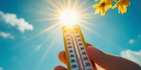 القبة الحرارية تضرب مصر، كيف تؤثر موجة الصهد على البيئة والمحاصيل الزراعية؟