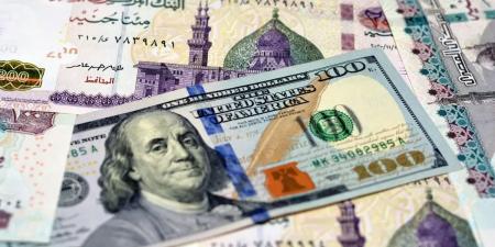 تغطية العجز والوفاة والفصل التعسفي.. تفاصيل "معاشك بالدولار" للمصريين بالخارج ومزاياها