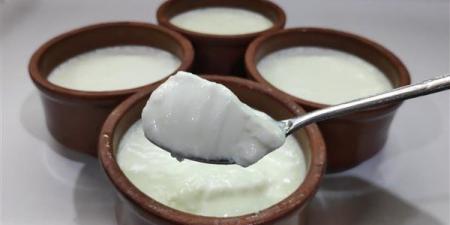 طريقة عمل الزبادي في البيت بقوام كريمي وطعم غني