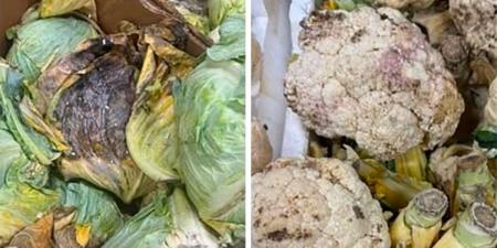 «الغذاء» تتلف 173 كيلوغراماً من المواد غير الصالحة للاستهلاك الآدمي