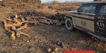 الأمن البيئي يضبط مخالفين لنظام البيئة في المدينة المنورة ومحمية الإمام فيصل بن تركي الملكية