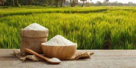 تعرف على سعر الأرز في الأسواق اليوم الثلاثاء