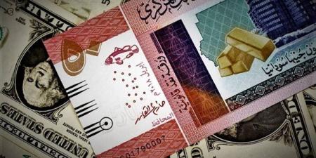 سعر الجنيه السوداني مقابل الدولار في بنك الخرطوم مساء اليوم