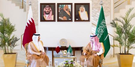 رئيس مجلس الوزراء وزير الخارجية يجتمع مع الخارجية السعودي