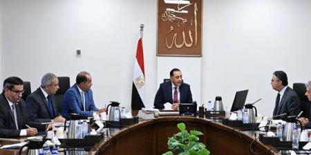 الزيت والسكر والمكرونة لن تكون وحدها.. توسيع قائمة سلع الدعم لتشمل اللحوم والبيض والدواجن