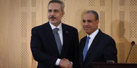 مصر وتركيا تؤكدان أهمية تنفيذ خطة السلام في غزة