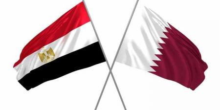 وزيرا الاستثمار والمالية المصريان: قطر ومصر تدشنان آفاقا جديدة لتعاونهما الثنائي