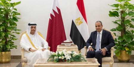 وزير خارجية مصر: توقيع منحة قطرية لإقامة مستشفى الشيخ تميم في سوهاج