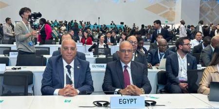 من المياه إلى الأرض والمناخ، سويلم يطرح رؤية مصرية لمواجهة الجفاف والتصحر في COP 17