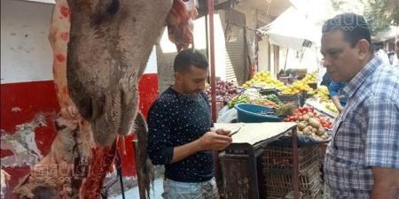 بيطري أسيوط يضبط نصف طن لحوم وأسماك غير صالحة للاستهلاك الآدمي