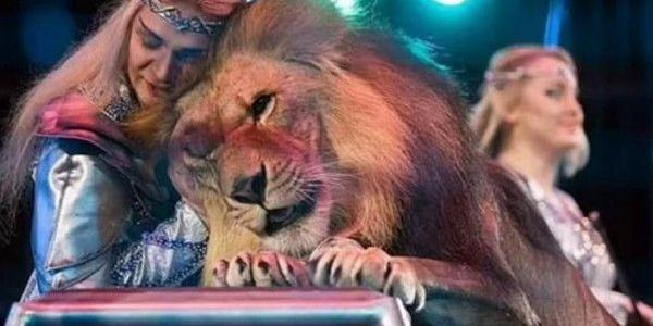 أسد يهاجم مدربًا خلال عرض بالسيرك .. إصابة خطيرة وسط فزع الجمهور