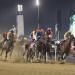 موسم حافل لسباقات الخيل.. كأس دبي العالمي 2026 يحتفل بنسخته الـ30 في 28 مارس