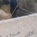 حشرات تُغلق مدرسة أردنية