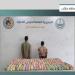حرس الحدود يحبط تهريب 378 كيلوجرامًا من القات المخدر في عسير وجازان ويقبض على مخالفين