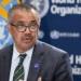 الصحة العالمية: إجلاء المصابين بفيروس هانتا من السفينة إلى هولندا لتلقي الرعاية