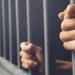 تأجيل
      محاكمة
      مطرب
      المهرجانات
      إسلام
      سنوفا
      في
      قضية
      حشيش
      لـ7
      يونيو