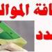 رسميًا..
      خطوات
      إضافة
      الزوجة
      والأبناء
      على
      بطاقة
      التموين
      2026
      (حتى
      4
      أفراد)