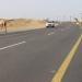 436 حادثا بسبب الحيوانات السائبة