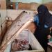 حملات
      مكبرة
      بسوقي
      الروضة
      والعصر
      ببورسعيد
      تضبط
      لحومًا
      فاسدة
      ودواجن
      محقونة
      بالمياه