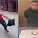 ”أخويا
      ضربني”..
      بائع
      فاكهة
      يعتدي
      على
      شقيقه
      بسلاح
      أبيض
      بالمحلة