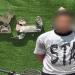 غامر
بحياته
من
أجل
اللهو،
حركات
استعراضية
بدراجة
نارية
تنتهي
في
قبضة
الشرطة
ببولاق