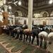 موعد أذان المغرب اليوم الثلاثاء " 14 صفر" في القاهرة والمحافظات
