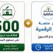 10 مكاتب بريد بالوادي الجديد تستقبل تظلمات بطاقات التموين وتحديث البيانات