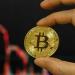 البيتكوين يستقر فوق 65 ألف دولار وسط ترقب التضخم
