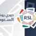 الدوري المصري ودوري روشن السعودي، فوارق شاسعة في انتظام المسابقة والقيمة السوقية