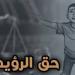 أزمة تعطيل تنفيذ أحكام الرؤية تحت قبة البرلمان، لماذا تطالب الأحزاب بكتاب دوري وتنظيم للاستضافة؟
