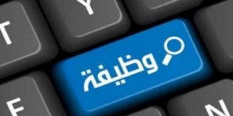 «الوزراء»: صناعة التكنولوجيا تواجه نقصا كبيرا في المهارات