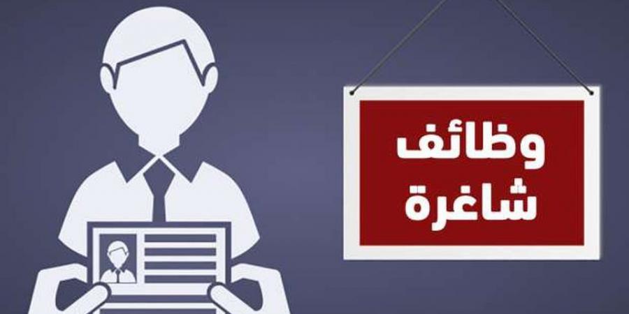 بمرتب 7500 جنيه شهريا.. وظائف خالية لجميع المؤهلات في الإسماعيلية