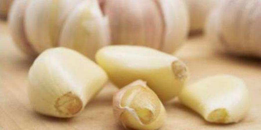 تناول الثوم يوميا يساعد في الوقاية من أصعب الأمراض.. أقوى مضاد حيوي