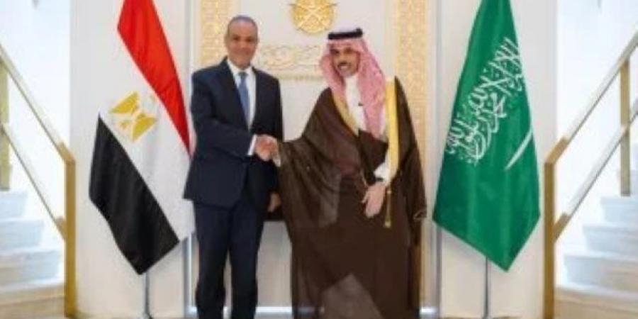 تأكيد مصري سعودي على أهمية حل الدولتين ورفض تهجير الفلسطينيين