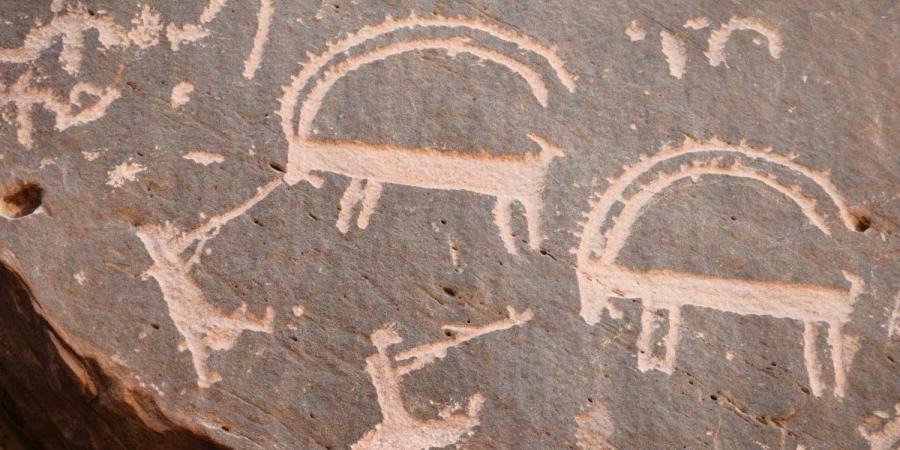 دراسة سعودية تكشف تنوعًا غير مسبوق للثدييات الكبيرة في الجزيرة العربية خلال العصور الماضية